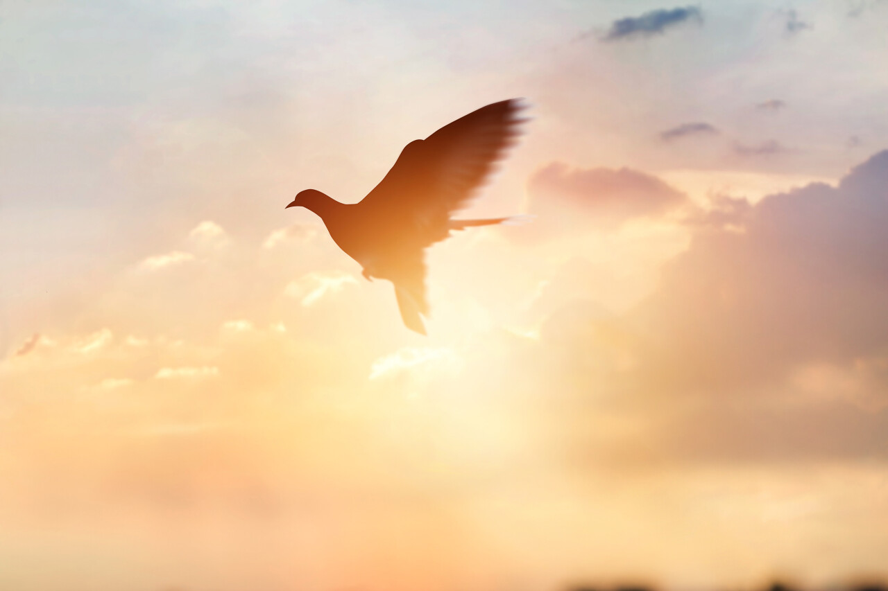 IStock 672310454 bewerkt